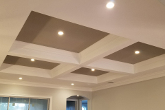4-inch LED cans in tray ceiling - Palm Coast, Florida