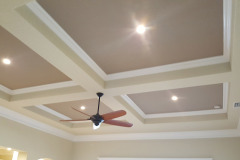 LED lights and fan in tray ceiling