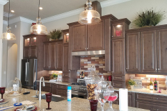 New construction kitchen with hidden outlets, LED under-cabinet lighting, interior cabinet lighting, ceiling lights and pendants - Palm Coast